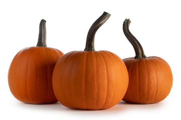 Three pumpkins isolated on white