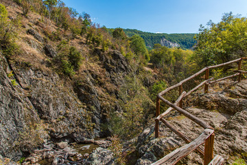 Fototapeta premium Wooden bridge in the forest in Balkan mountains