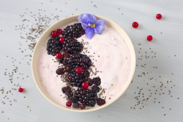Joghurt mit frischen Brombeeren	