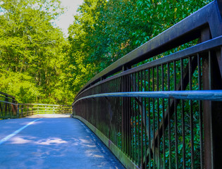 Iron and Concrete Bridge into Green Forest