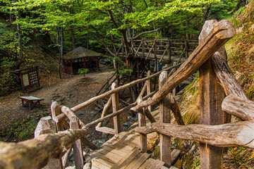 Wooden stairs in the forest in Balkan mountains