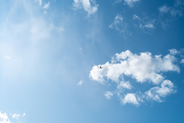 Tiny plane on a background of blue sky with fluffy clouds © Андрей Киселев