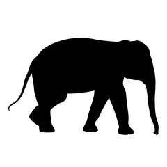 Black elephant silhouette Asia walking, graphics disign vector outline Illustration isolated on white background