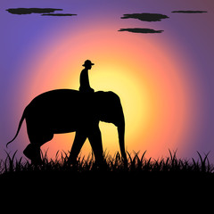 elephant Asia walking, graphics disign vector Illustration light silhouette background