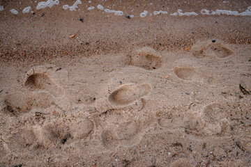 spending time on the beach in autumn
