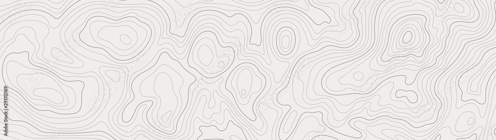 Wall mural topographic line contour map background, geographic grid map