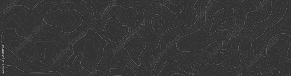 Wall mural background of topographic line contour map, black-white design of geographic grid map