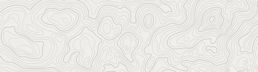 Wandcirkels aluminium topographic line contour map background, geographic grid map © biancaoddi