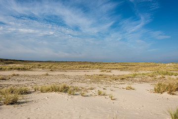 Beautiful tranquil dune landscape and long beach at North Sea