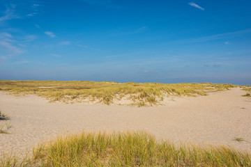 Fototapeta premium Beautiful tranquil dune landscape and long beach at North Sea