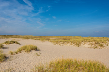 Beautiful tranquil dune landscape and long beach at North Sea