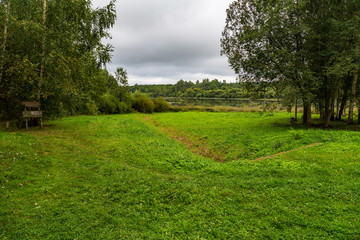 trees in park