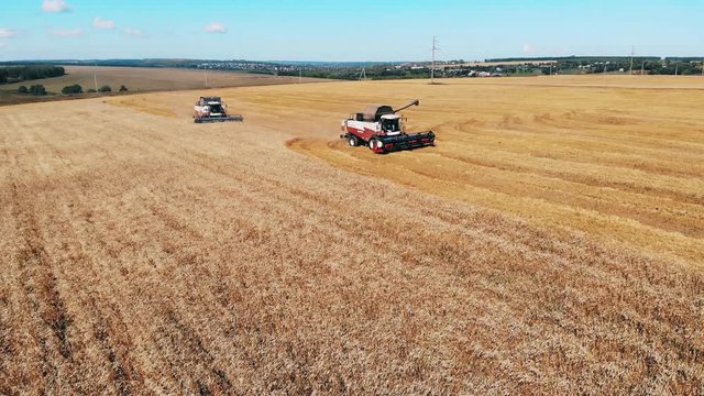 Two combiners plow wheat on a field. Aerial view.