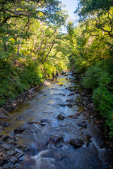 river in north wales in the woods 
