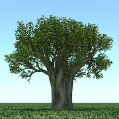 3D Tree