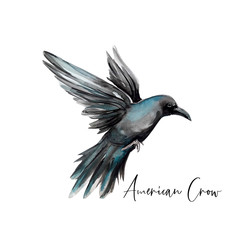 Новый документ 2019-09-30 09.02.06