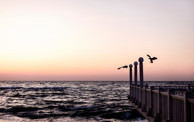 Beautiful sunset (sunrise) over the sea, beautiful waves and flying gulls.