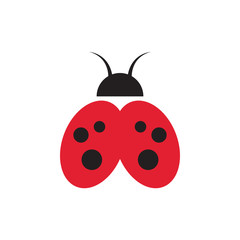 Lady bug graphic design template vector isolated