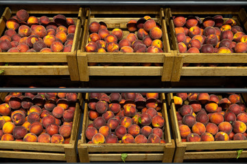 Wooden lug boxes with soft and mellow peaches on counter in supermarket