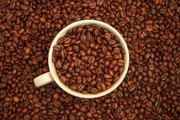 cup with coffee beans and cinnamon sticks	