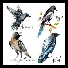 Новый документ 2019-09-30 09.02.06