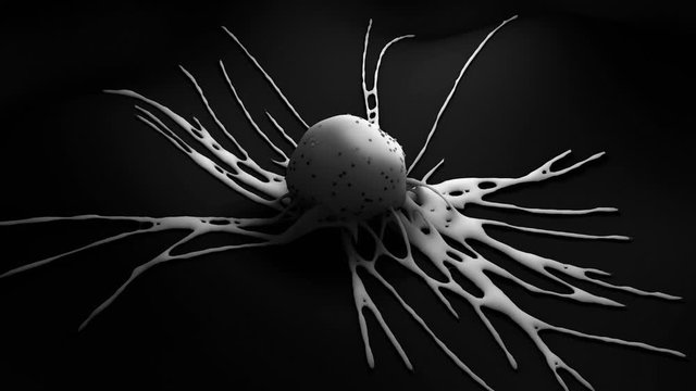 Birth and evolution of cancer cell