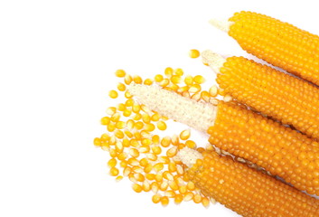 Cobs of corn, with corn kernels for popcorn isolated on white background, top view
