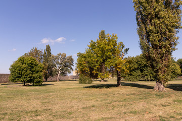 Beginning of autumn, landscape in a park with large trees on a f