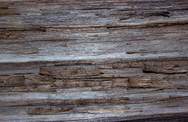 Naklejka na ściany i meble Rotten and weathered wood, Texture of wood background nature Natural
