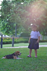 An Asiatic girl walks with her beagle dog in the park.