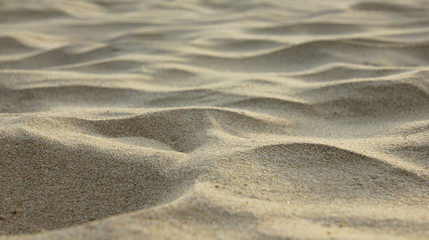 sand on the sea beach