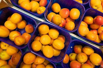 Yellow fresh delicious plum in blue plastic boxes at food market. May be used for agriculure background, top diagonal view.