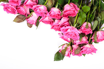 Fototapeta premium Beautiful rose flowers bunch isolated on white background