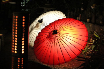 幻想的な光と和