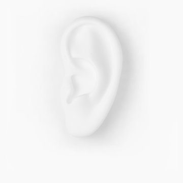 White ear for earring photography