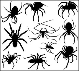 Vector Spider Silhouette Collection