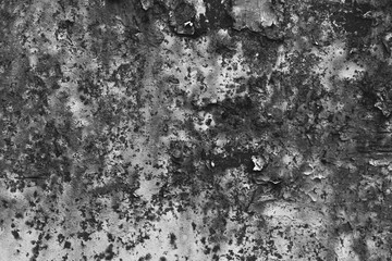 Texture of an old worn out scratched the surface. Black and white grunge background, stone and concrete texture