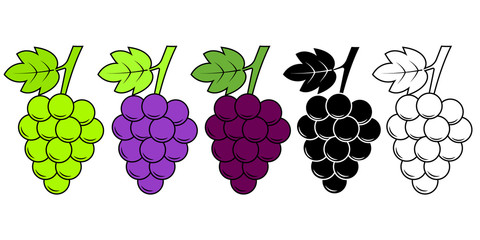 Grapes icon set, red, white and monochrome. Different grape vine types. Wine logo art, isolated cartoon vector illustration