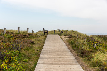 Fototapeta premium Footpath through dunes