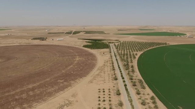 An irrigated agricultural field in the desert near Riyadh, Saudi Arabia (aerial photography)