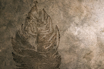 fossil shape texture