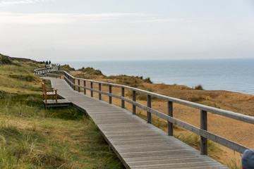 Obraz premium Footpath through dunes