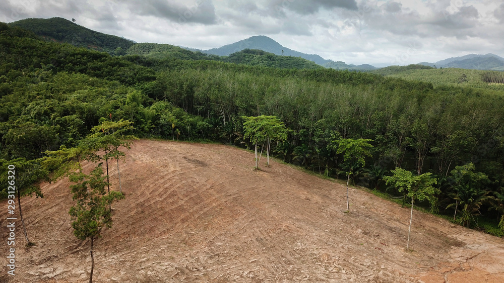 Wall mural Deforestation. Aerial photo of destroyed forest environment 