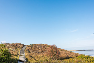 Obraz premium Footpath through dunes