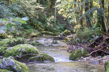 Fly fishing small creeks in Switzerland © Thomas