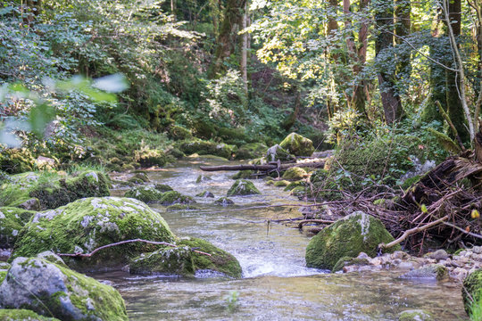 Fly fishing small creeks in Switzerland