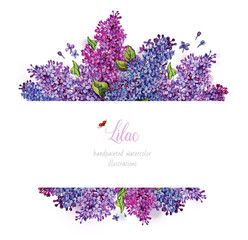 Lilac. Watercolor illustration