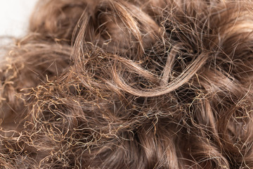 burnt hair on the head