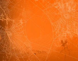 Poster Im Rahmen shabby orange wall covered with spooky spider web - halloween theme bright copy space background © Cattallina