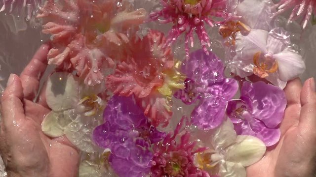 Rain drops falling down on romantic colourful flowers in woman hands against water surface. Beautiful relax decoration. Close up slow motion shot. Top view.